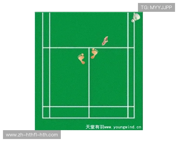 羽毛球米字步gif