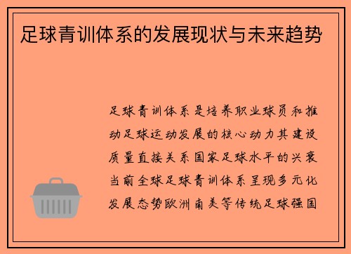 足球青训体系的发展现状与未来趋势